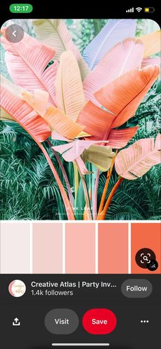 the color scheme for this photo is pink, orange and yellow with some green leaves