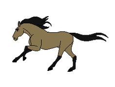 an image of a horse that is running