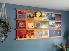 a wooden shelf filled with records on top of a blue wall next to a potted plant