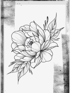 a black and white drawing of a flower on a piece of paper with watercolor pencils