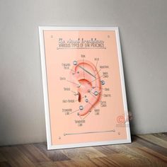 a pink poster with an ear diagram on the wall next to a wood floor and gray wall