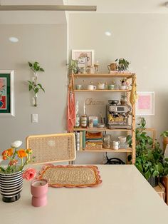 a table with some plants on top of it next to a shelf filled with potted plants