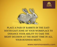 two white rabbits sitting next to each other on top of a yellow background with the words, place a pair of rabbits in the east - southeast