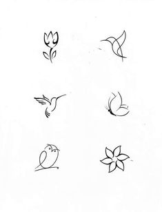 six different types of birds and flowers on a white background with the words love written in black ink