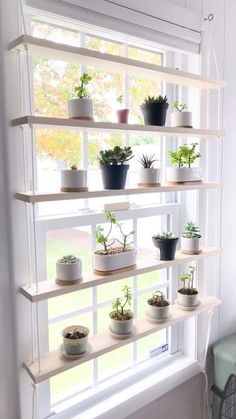 a window sill filled with potted plants on top of it's shelves