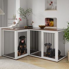 two dogs in their kennels on the floor next to a table with flowers