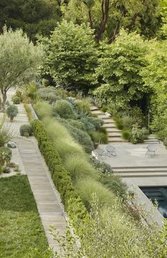 an outdoor garden with lots of trees and plants on either side of the pool area