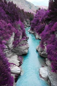 the river is surrounded by purple trees and rocks