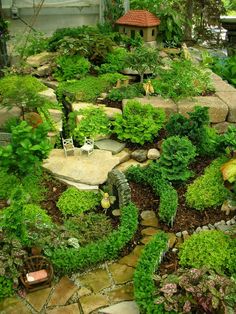 a garden with lots of green plants and rocks