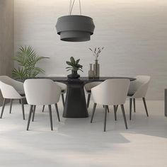 a dining room table with chairs and a potted plant