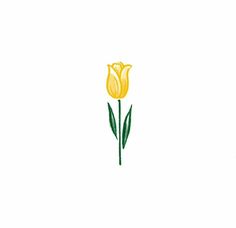 a single yellow tulip on a white background