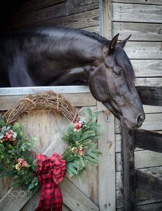 a black horse standing next to a wreath on top of a wooden fence with a red bow