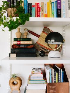 some books and plants are sitting on the shelves