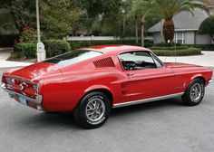 a red car parked in a parking lot next to some palm trees and bushes on the side of the road