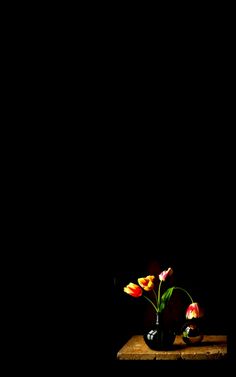 some flowers are sitting on a table in the dark