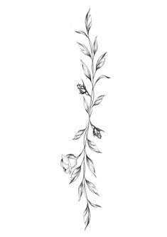 a black and white drawing of a branch with flowers on it's end, drawn in pencil