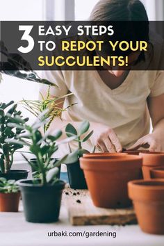 a woman is arranging potted plants with text overlay that reads, 3 easy steps to repot your succulents