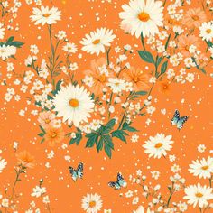 an orange background with white daisies and butterflies