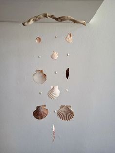 seashells are hanging from the ceiling in front of a white wall