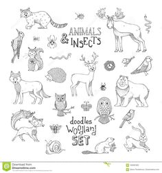 hand drawn doodle animals and insects set in black and white stock photo edit now