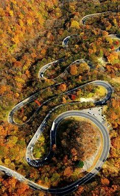 an aerial view of a winding road surrounded by trees in the fall with lots of orange and yellow leaves