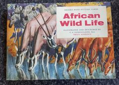 an old children's book about african wild life with pictures of zebras and other animals