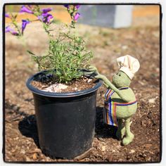 a small stuffed animal is next to a potted plant with purple flowers in it