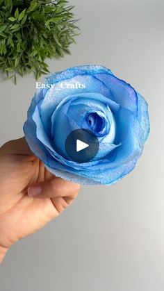 a person holding a blue flower in their hand