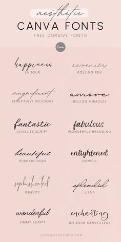 some type of font that is in different styles and colors, with the words canva font