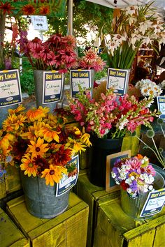 several buckets filled with flowers sitting on top of wooden crates in front of a tent