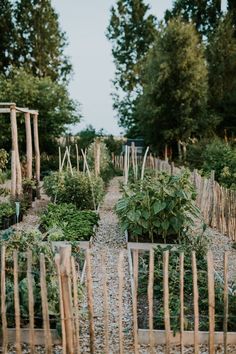 a garden filled with lots of different types of vegetables and plants in wooden boxes next to each other