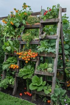 a wooden ladder filled with lots of different types of vegetables and fruits in it's garden