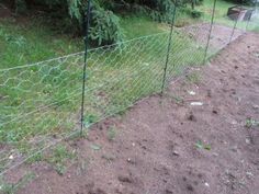 an image of a fence that is in the middle of some dirt and grass with trees behind it