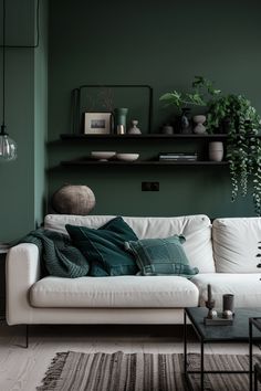 a living room with green walls and white couches in the corner, potted plants on shelves