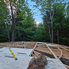 a cat sitting on top of a roof under construction