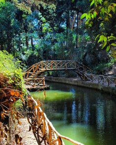 a wooden bridge over a river surrounded by trees