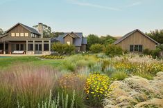 the house is surrounded by tall grass and wildflowers