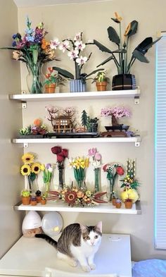 a cat sitting on top of a white shelf filled with vases and flower arrangements