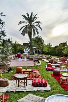 many chairs and tables are set up on the grass in front of a palm tree