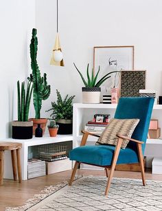 a living room filled with plants and furniture