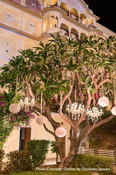 a tree with many lights hanging from it's branches in front of a building