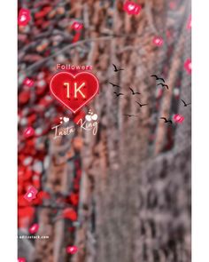 a red heart hanging from the side of a tree with birds flying around it and text that reads followers 1k instagram king