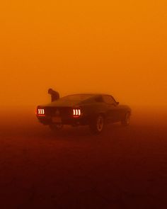 a car in the middle of a foggy field