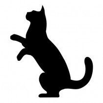 a black and white silhouette of a cat sitting on it's hind legs with its front paws in the air