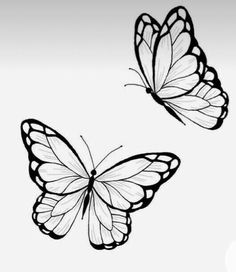 two butterflies flying side by side on a white background with black and white lines in the foreground