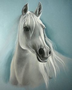 a drawing of a white horse with long manes and black eyes on a blue background