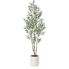 Click Here for More Plants. As an interior accent, this olive tree boasts durability and ease of care. Watering and pruning are unnecessary; simply dust it with a damp cloth when required. The superior materials and ideal dimensions make it a standout choice for indoor dcor. It enhances the elegance and ambiance of various spaces, including homes, offices, bedrooms, living rooms, and libraries. Weight: 10 lb. Size: 6'.  Color: Green. Plant For Room, Artificial Olive Tree, Tall Plant, Plastic Planter, Plastic Planters, Interior Accents, White Planters, Tall Plants, Room With Plants