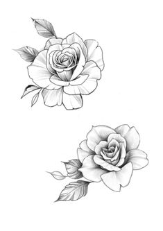 Shoulder Cap Tattoos For Women Simple, Rose Flower Tattoo Stencil, Rose Tattoo Template, Rose Mandala Tattoo Design, Rose Line Tattoo, Roses Tattoo Stencil, Roos Tattoo, Rose Outline Tattoo, Flower Tattoo Stencils