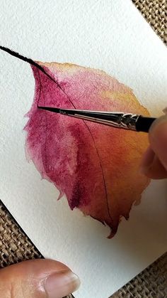 someone is painting a leaf with watercolors on paper