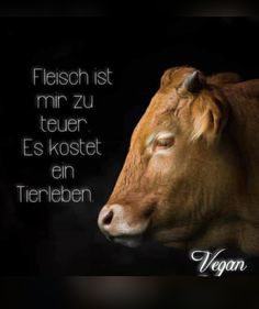 an image of a brown cow with the words vegan written in german on it